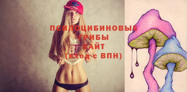 spice Балахна