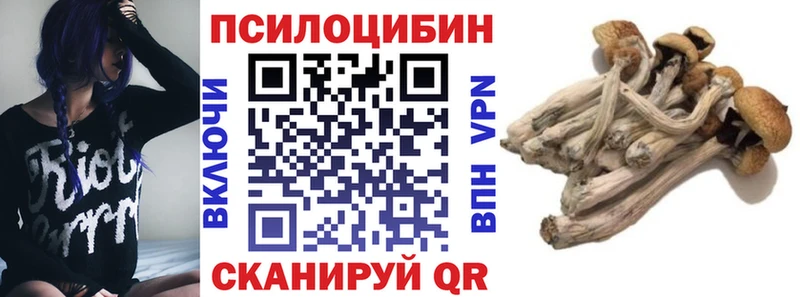 Галлюциногенные грибы прущие грибы  Нефтекумск 