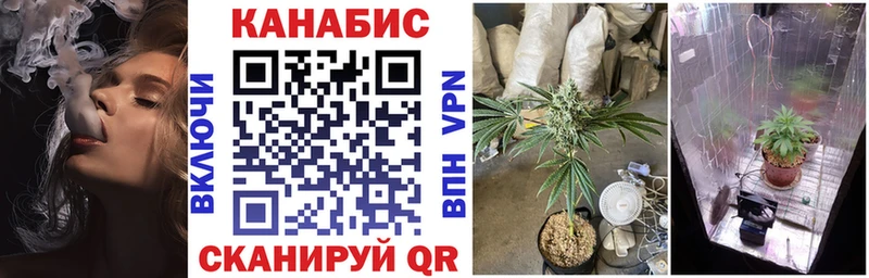 купить наркотики цена  Нефтекумск  Конопля MAZAR 